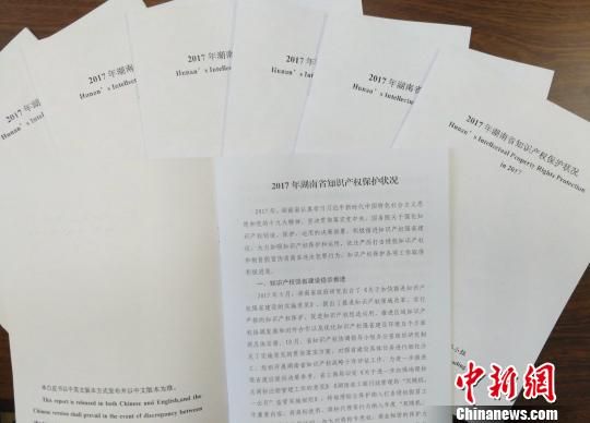 2017年湖南省知识产权保护状况白皮书发布