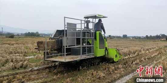 农机员驾驶秸秆打捆机在收割后稻田里作业。　祁阳宣传部供图