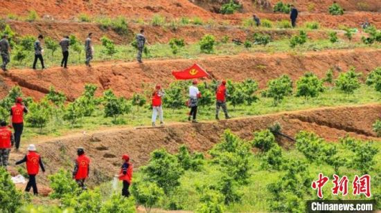 东安县芦洪市镇党员干部到田间地头开展“点单式”助农服务。　秦浩 摄