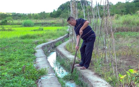  8月11日，桂��h四里�梅家村村民在疏通灌溉水渠。