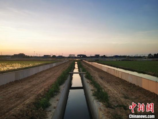 长沙天心区稻田生态种养示范基地项目。　湖南省自然资源厅供图