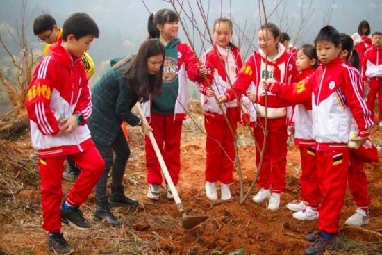 志愿服务队开展植树活动。安仁县委宣传部供图