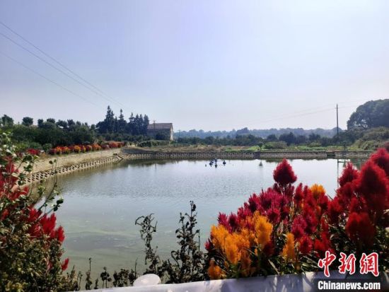 三眼塘村具有湖中半岛地貌特色，生态环境优美，村民房前就有美景。　　沅江市委宣传部 供图