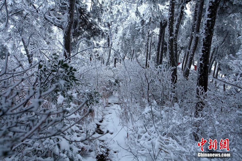 江西庐山雪景迷人--湖南新闻图片网