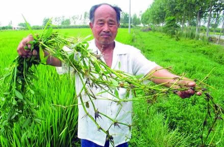 大S想生子：我多希望自己今天就能怀孕图片
