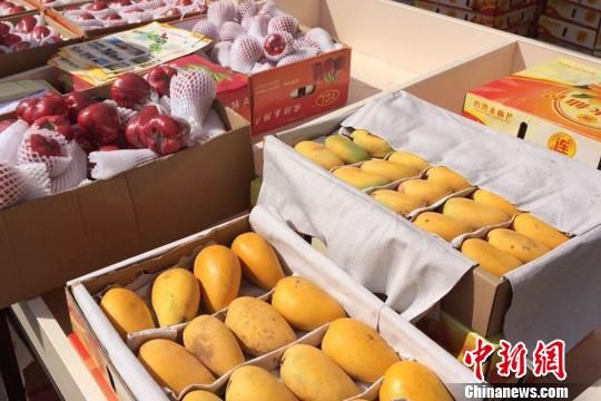 南果北销: 海南热带水果进军内蒙古市场 - 中