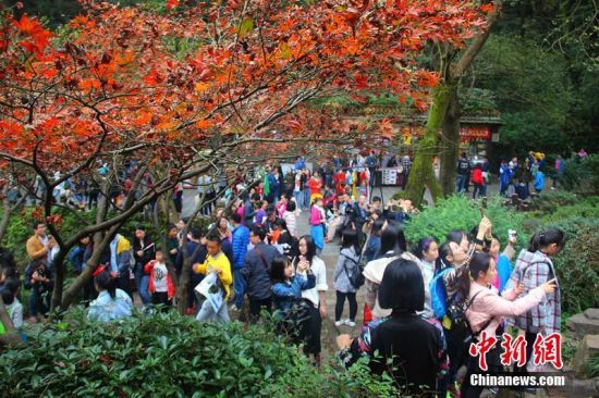 长沙岳麓山枫叶变红 游客扎堆赏枫 - 中国新闻