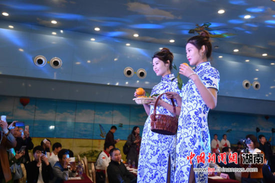 2017中国麻阳冰糖橙采摘节将于12月1日举行